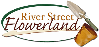 River Street Flowerland-
